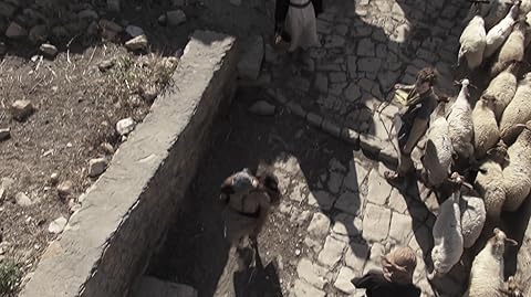 David and Goliath Screenshot 7